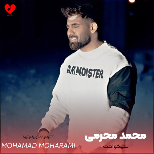 دانلود آهنگ نمیخوامت از محمد محرمی (دیگه دستتو خوندم برو نمیخوامت)